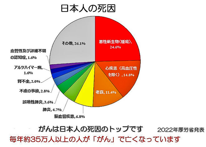 図1　日本人の死因 （2022年厚労省統計）