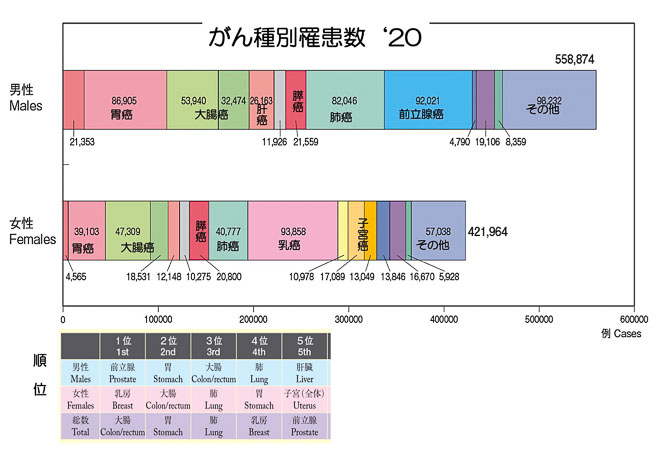 図３　がん種類別罹患者数（公益財団法人 がん研究振興財団「がんの統計」２０２０より）