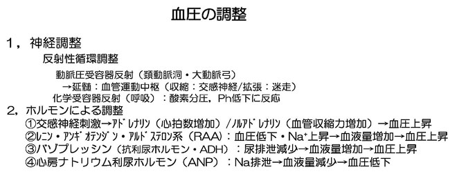 血圧を調整する因子