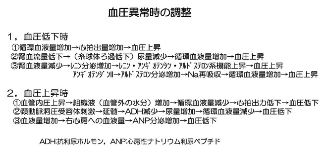 血圧異常時の血圧調整の仕組み
