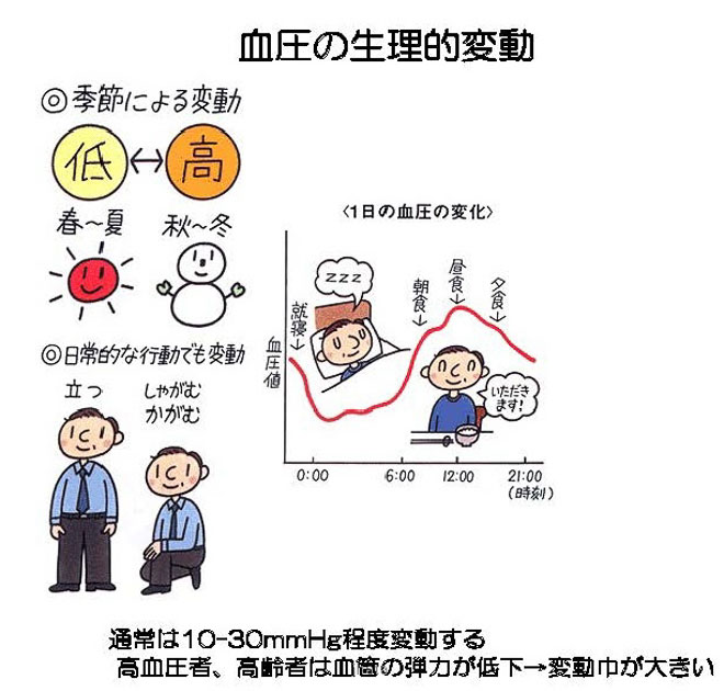 血圧の変動　日内変動、季節による変動、日常生活による変動