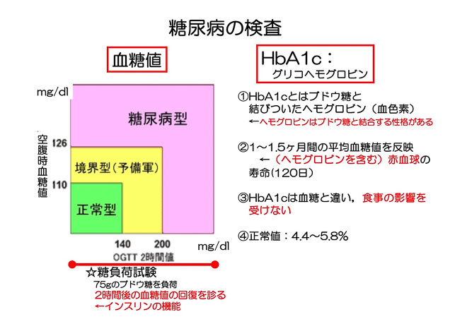 図１０　糖尿病の検査（血糖値とHb1Aｃ）